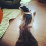 ちだ's profile picture