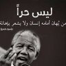 موسى محمد البروجي 的头像