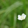 峯松めだか(旧・かぐつち) 的头像