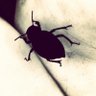 kiki patsali's profile picture
