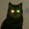 Profilbild von Kage Moses