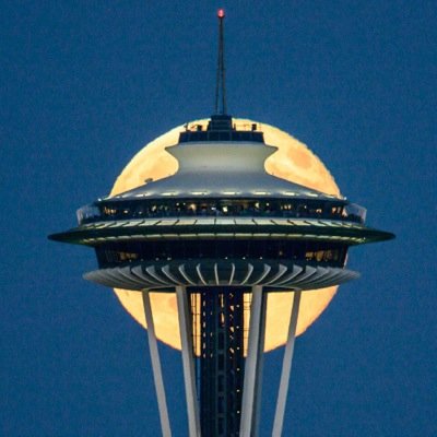 timdurkan's profile picture