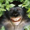 Profilbild von olinux