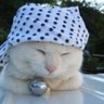 もんじろう's profile picture