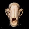 HeyBeefay's profile picture