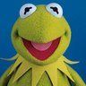 Profilbild von David