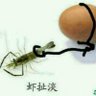 天波府三郎 profil fotoğrafı