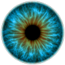 udidit's profile picture