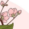 Фото профиля a lotus seed bun 🌸🌿
