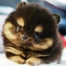 Kim T's profile picture