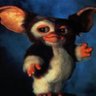 Le Gremlin profil fotoğrafı