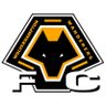 WolvesFcc's profile picture