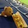 Фото профиля ちふ⭐🦁都市対抗野球モード🎹⚾