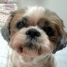 Profilbild von mako