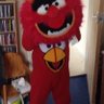 Julie Rose's profile picture