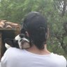 Just D2's profile picture