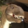𝔸ℝ𝕌𝕊𝔸𝕌ℝ𝕌𝕊 🦖 的头像