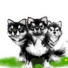 Cerberus's profile picture