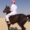 ســلــطــان بــن عـبـدالـلـه's profile picture