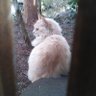 pamdirac's profile picture