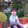 Mohammad Alsayed Ali's profile picture