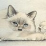 Profilbild von Горюнов Олег