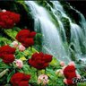 أبو يزن profil fotoğrafı