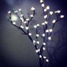 Profilbild von Arboles Iluminados