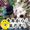 Profilbild von たれぞー