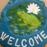 Diana Robinson's profile picture