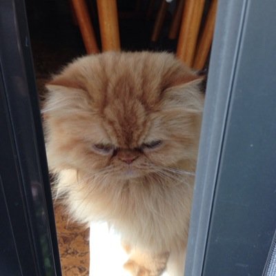 na_ouchi_'s profile picture