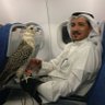 سليمان الحمادي profil fotoğrafı