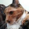 Profilbild von 666