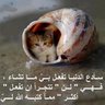 Фото профиля ميسووو بنت الوطن