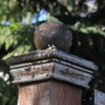 Фото профиля kerson