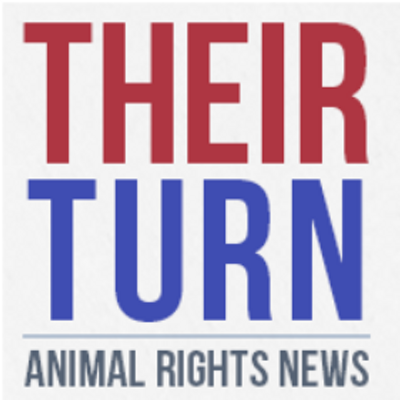 theirturn's profile picture