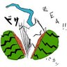 Profilbild von かきくく