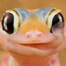 Rockbell's profile picture