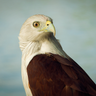Jeff Tyser's profile picture