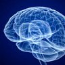 Profilbild von Caring Neuroscience