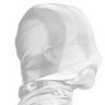 Max Zombie profil fotoğrafı
