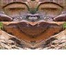 Ken H.'s profile picture