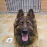 RnR profil fotoğrafı
