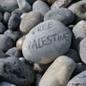 free palestine 的头像