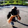 عادل الكامل profil fotoğrafı