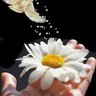بوخالد العلوي's profile picture