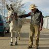 Фото профиля Thedonkeylover