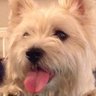 Profilbild von Eddie