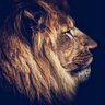 M's profile picture