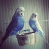 I-L Gullbrand's profile picture